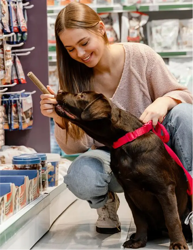 mascota contenta frente a exhibidor mascota oliendo una golosina para perros de un exhibidor