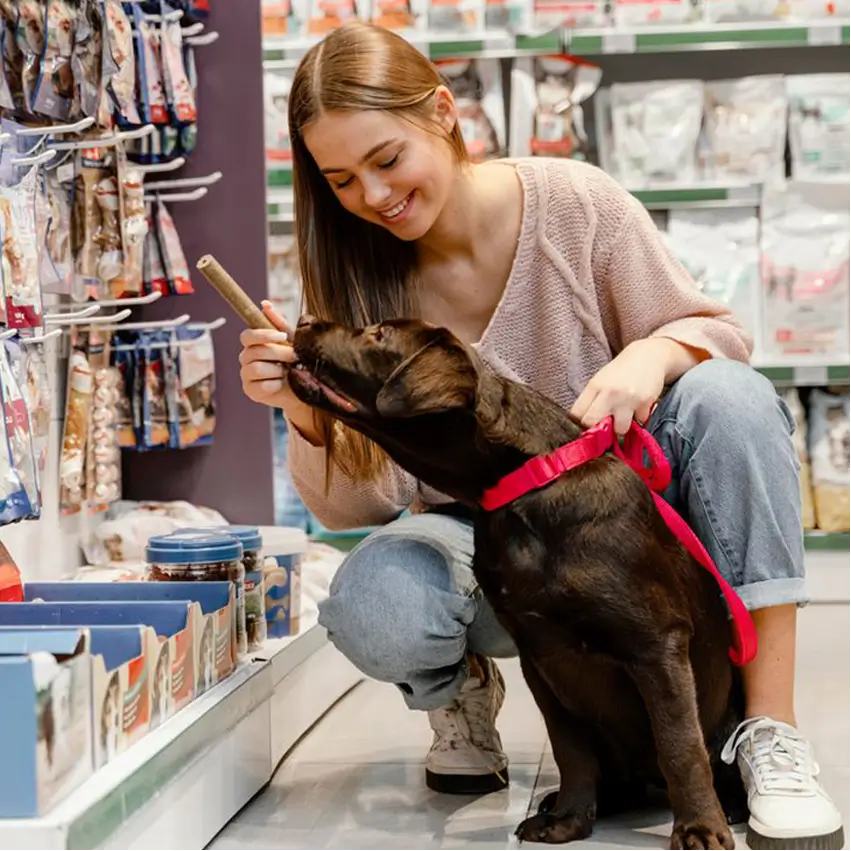 Perro contento en tienda de mascotas